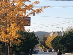 -日本风情街