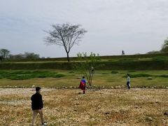 -盘龙城国家考古遗址公园