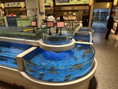 -渔人码头(中南店)