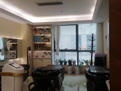 -碧莲盛·不剃发植发