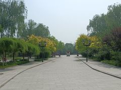 -杨柳青庄园