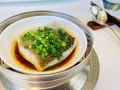 葱油蒸野生黄鱼-福1015(愚园路店)