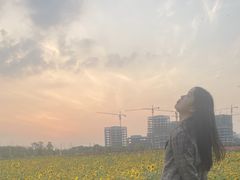 -映月湖中央公园