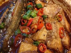 泥鳅烧豆腐-二十八里太湖船菜(吉祥路店)