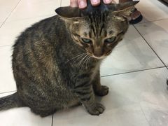 -么凤(波斯富街店)