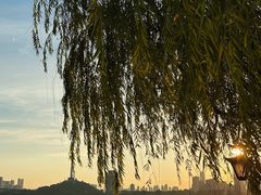 -武昌江滩