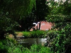 -扬州天乐湖嬉乐谷