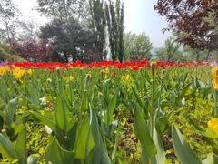 -国家植物园南园