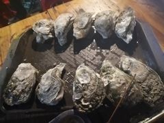 -八一湛江生蚝(文明东路总店)