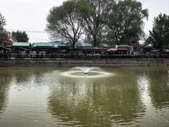 -尚庄度假村·庭台树下·户外烧烤·团建CS·轰趴营地(上庄水库店)