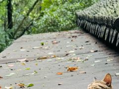 -狼山风景名胜区