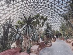-上海辰山植物园