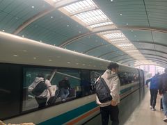 -龙阳路磁悬浮列车总站-停车场