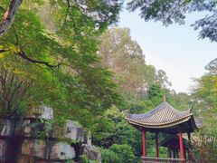 -顺峰山公园