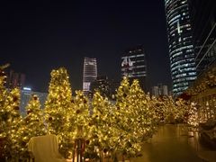 -城市露台景观餐厅(淮海路店)