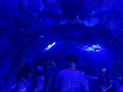 -石家庄极地海洋世界