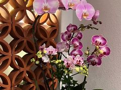 -沐森 •疗愈头疗馆(打浦桥店)