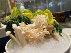 -鲐赏河豚(长寿店)
