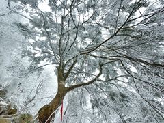-九峰山