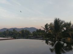 -蓝湾绿城威斯汀度假酒店大堂吧