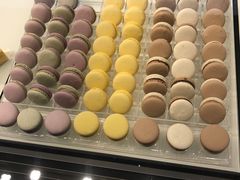 -BLACKSWAN黑天鹅(环球店)