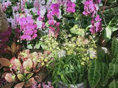 -国家植物园南园