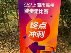 -东平国家森林公园