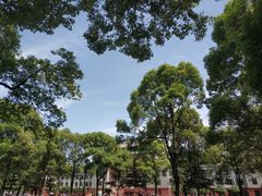 -四川大学(望江校区)