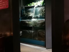-老板恋上鱼(高新万达店)