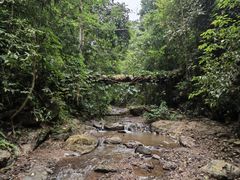 -西双版纳基诺山寨