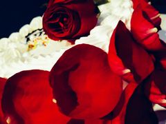 -卡漫莫尼蛋糕(私人定制店)