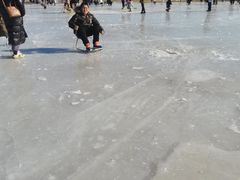 -绿野森林乐园冰雪季