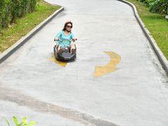 -圣淘沙天际线斜坡滑车