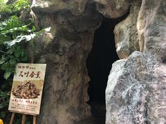 -嘉和K6温泉微度假