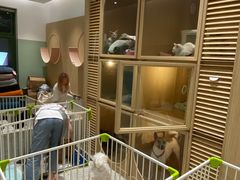 -電力宠物公司(武定路店)