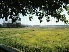 -崖口云吞(中堡店)
