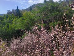 -草庵摩尼教遗址公园