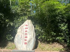 -中国大熊猫保护研究中心雅安碧峰峡基地