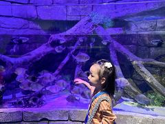 -沈阳海洋探索中心