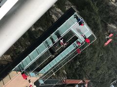 -梦幻奥陶纪景区