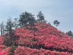 -木兰云雾山