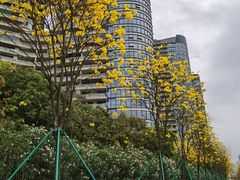 -洲头咀公园