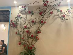 -明洞轩正统韩国自助烤肉大渡口店(新天泽国际广场店)