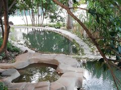 -活水公园