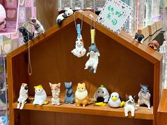 -猫的天空之城概念书店(大学路店)