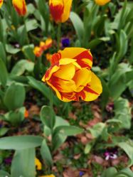 -熙画美上门MakeUp美甲美睫