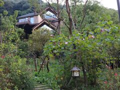 -杭州开元森泊度假乐园