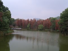 -金山植物公园