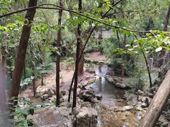 -四门塔风景区