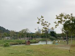 -王借岗森林公园